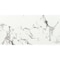 Ackland Astoria Lucio 12 in. x 24 in. Polished Porcelain Stone Look Floor and Wall Tile, 8PK AKNPTASTLUCI12X24P-CA - alternate 2