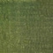 Msi Emerald Green Sample Pre Cut Artificial Grass Turf Roll ZOR-PC-TRF-0001-SAM - alternate 1