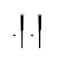 Fcs Struts Shock Absorber Assembly Kit 8346554 - alternate 1