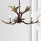 Jonathan Y Speller 27" Adjustable Resin Antler 3-Light LED Chandelier, Brown JYL6303A - alternate 2