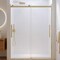Anzzi Stellar 57 to 60 in. x 76 in. Sliding Frameless Shower Door in Brushed Gold with Tempered Glass SD-FRLS05902BG - alternate 2