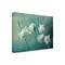Trademark Fine Art Outdoor Canvas Art Mike Kreiten  'Crowns Of Thorns' Wall Art for Patios, or Gardens 1X18582-OC1824WR - alternate 1