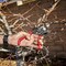Corona Tools ErgoACTION Bypass Pruner, 3/4 in. Cut Capacity BP 3640 - alternate 2