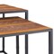 Homeroots Set of Two Brown and Black Metal And Faux Snake Leather Nesting End Tables, 2PK 383761 - alternate 2
