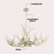 Jonathan Y Eldora 36" 8-Light Rustic Farmhouse Adjustable Resin Antler LED Chandelier, Beige JYL6319B - alternate 3