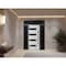 Vdomdoors Front Exterior Prehung Steel Door Ronex0131 Black Enamel 2 Sidelight and Transom Window Sidelite RONEX0131EXD-BLK-W16+36+16 X H80+16-RH-I - alternate 2