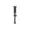 Fcs Struts Suspension Strut And Coil Spring Assembly 1355163 - alternate 2