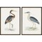 Homeroots Set Of Two Herons Framed Art Black Picture Frame Print Wall Art, 2PK 416315 - alternate 1