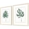 Homeroots Set Of Two Plant Press Distressed White Framed Wall Art, 2PK 649308 - alternate 1