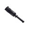 Fcs Struts Suspension Strut And Coil Spring Assembly 1345970L - alternate 2