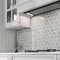 Apollo Tile Gray 11x12 Bianco Carrara, Thassos Marble Polished Floor and Wall Mosaic Tile 4.34 sqft/case, 5PK APLDC88G27A - alternate 2
