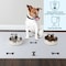 Petmaker Set of 2 Stainless Steel Dog Bowls 32oz Double Wall Insulated Non Slip Metal for Small-Medium Pets PET6424 - alternate 2