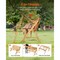 Vevor Picnic Table Wooden Tables and Bench Set with Umbrella Garden Indoor Outdoor OTPC-18 - alternate 2
