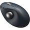 Kensington Kensington Pro Fit Ergo TB550 Trackball K72196WW - alternate 1