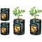 Ipower 10 Gallon Potato PE Grow Bags with Flap, Garden Planting Nonwoven Fabric Pots, 4PK GLGROWBAGWINDOWPE10X4 - alternate 1