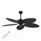 Jonathan Y Raffles 52 in. Bohemian Industrial Metal/Plastic Mobile-App/Remote-Controlled 6-Speed Palm Blade Cei JYL9719A - alternate 1
