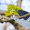 Kings County Tools Anvil Lopper Replacement Blade Large Coated Alloy Steel Blade for Double Ratcheting Anvil Loppers GW11G12-11 - alternate 2