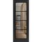 Sartodoors Slab Barn Door Panel Lite, Lucia 2466 Matte Black with Clear Glass and Aluminum Strips, Sturdy Fin LUCIA2466S-BLK-18 x 80 - alternate 1