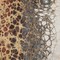 Homeroots 5' X 8' Ivory Gray And Gold Abstract Washable Indoor Outdoor Area Rug 582525 - alternate 2