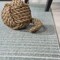 Jonathan Y Aarhus High-Low Minimalist Scandi Striped Blue/Ivory 5 ft. x 8 ft. Indoor/Outdoor Area Rug SCN102E-5 - alternate 2