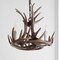 Jonathan Y Nelle 18" Adjustable Resin Antler 3-Light LED Chandelier, Brown JYL6304A - alternate 4
