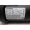 Marathon MICROMAX AC MOTOR 56C 3/4HP 1725RPM 230/460V-AC 3PH XVL 56H17F2018A - alternate 2