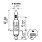 Hella BULB 12V 55W P14.5S T2.5  H1 - alternate 2