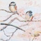Homeroots Set Of Two Spring Branch Birds Distressed White Framed Wall Art, 2PK 649300 - alternate 2