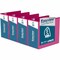 Davis Group Easyview Premium, Angle D Ring, Customizable, View Binder, (Pink, 5"), PK4 8407-43-04 - alternate 1
