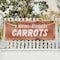 Signmission Farm Fresh Carrots, 48 Inch x 120 Inch, Vinyl Banner B-120-30585 - alternate 2