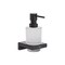 Hansgrohe AddStoris Liquid soap dispenser in Matte Black 41745670 - alternate 1