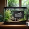 Ipower 6 by 8 Inch 8W Reptile Heating Pad with Adjustable Thermostat, Under Tank Warmer Terrarium H PTHTPDMADJDSPL - alternate 2