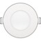 Goodlite 3 Inch Fire Rated Round slim LED Selectable CCT Downlight, Slim G-96921 - alternate 1