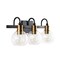Jonathan Y Marais 21.5" 3-Light Iron/Glass Rustic Vintage LED Vanity Light, Black/Brass Gold JYL3528A - alternate 2