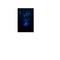 Ge Projectable Night Light Automatic Plug-in Northern Lights LED Blue 30404 - alternate 4