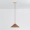 Hudson Valley Lighting Clivedon 12 in. Pendant in Aged Brass/Soft Crimson by Mark D. Sikes MDS1401-AGB/CRN - alternate 3