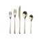Mepra Neve Flatware Set - 5 Pieces - Ice Champagne 102522005IC - alternate 1