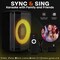 Pyle Portable Bluetooth Speaker with 8 in Inch Woofer, TWS Function, Mic Input, USB/Micro SD/FM Radio PPHP868ST - alternate 2