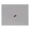 Cnh SPRING, CNH OEM 85806419 85806419 - alternate 2