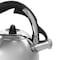 Mr. Coffee Coffield 1.8 Quart Stainless Steel Whistling Tea Kettle with Bakelite Handles 128619.01 - alternate 2