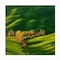 Trademark Fine Art Outdoor Canvas Art Krzysztof Browko 'Spring On Fields...' Wall Art for Patios, or Gardens 1X11669-OC3535WR - alternate 2