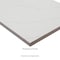 Msi Miraggio Gray 13in X 24in Matte Porcelain Pool Coping, 2PK ZOR-LSC-0214 - alternate 1