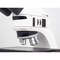 Motic Instruments Usa Panthera TEC-BF/RL Trinocular Compound Upright Microscope with 6x4 Stage 1100104600191 - alternate 2
