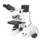 Motic Instruments Usa BA310MET Binocular Compound Upright Microscope 1100100402144 - alternate 1