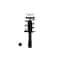 Fcs Struts Suspension Strut And Coil Spring Assembly 1333832R - alternate 1