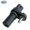 Skyward Automotive Products Engine Crankshaft Position Sensor,  SKPC501 - alternate 1
