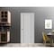 Sartodoors Slab Barn Door Panel, Planum 0017 Matte Grey and Aluminum Strips, Sturdy Finished Flush Modern Door PLANUM0017S-GRE-32 - alternate 2