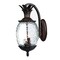 Homeroots Antique Bronze Hanging Pineapple Wall Light 398403 - alternate 1