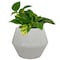Trendspot Trendspot Rena 6.5 in. H X 8 in. W X 8 in. D X 8 in. D Ceramic Planter Gray CR01474N-08H - alternate 2