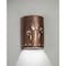 Luxury Lighting Mirage Flats 13 in Ceramic Outdoor Wall Light, Palm Tree Cutouts, Rubbed Copper Paint Finish, 2PK (2) 102-22B-ACop-ud-7-17 - alternate 1
